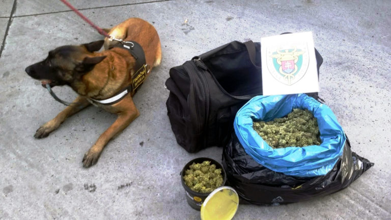 drogy, marihuana