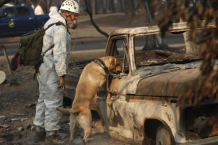 požiar, Kalifornia, záchranári