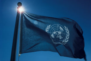 OSN, vlajka