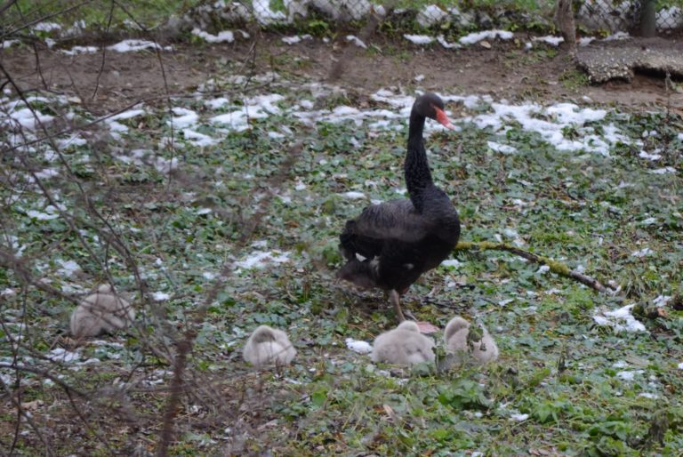 Zoo Bratislava