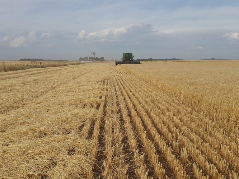 Field 2468835_1280.jpg