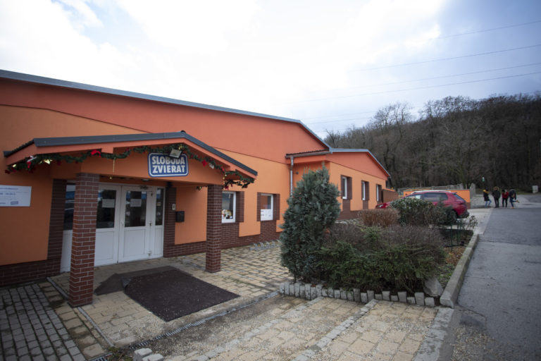 Sloboda zvierat Bratislava, útulok, pes, mačka