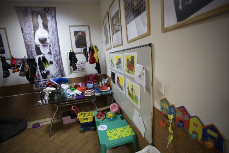 Sloboda zvierat Bratislava, útulok, pes, mačka