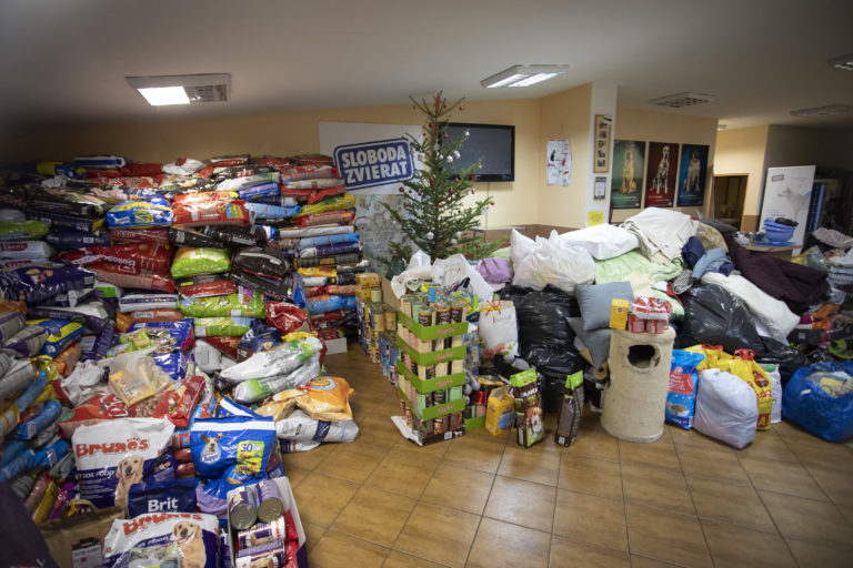 Sloboda zvierat Bratislava, útulok, pes, mačka