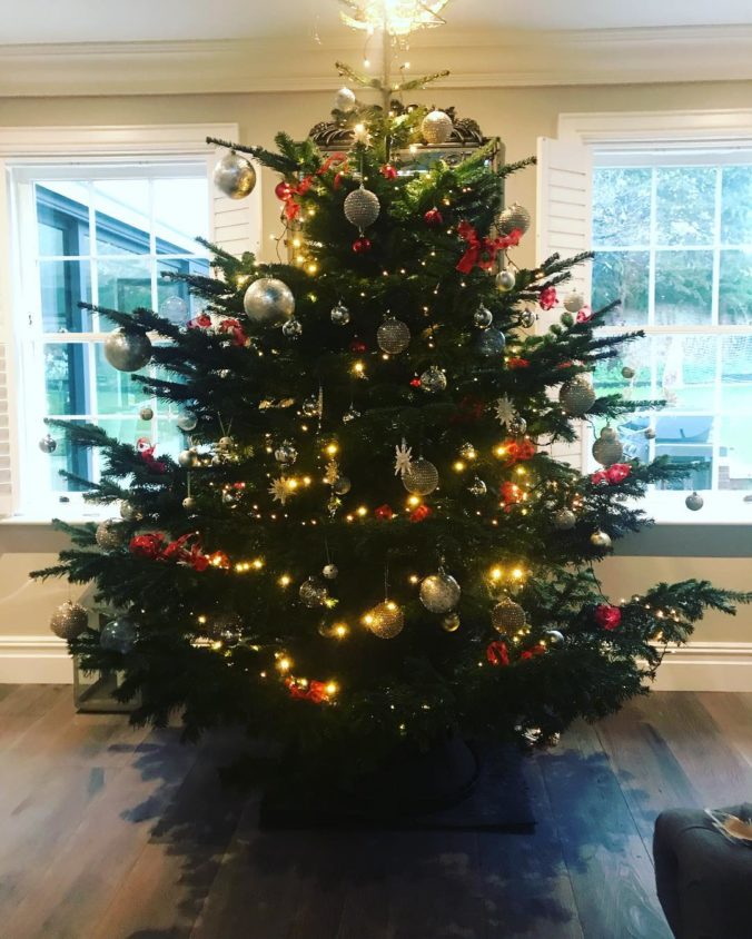 Lucy Alexander, vianočný stromček