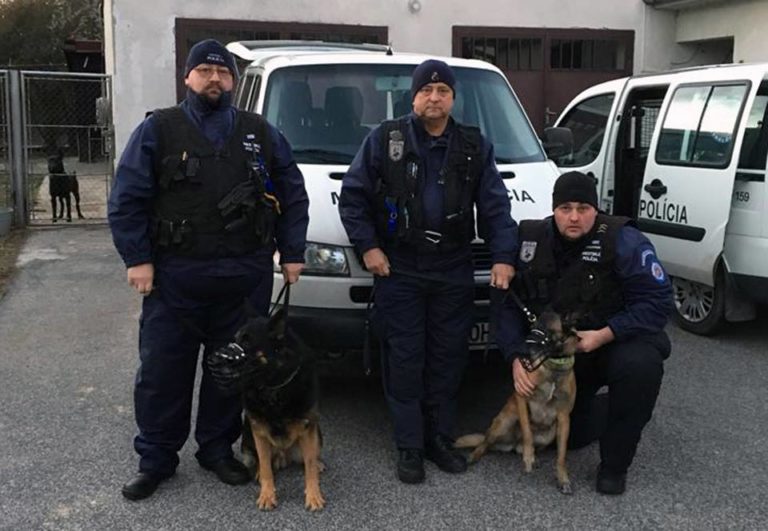 mestská polícia Bratislava
