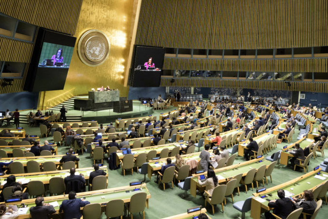 Valné zhromaždenie OSN