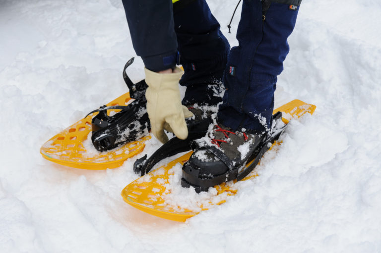 POČASIE: Vietor a sneh spôsobujú výpadky elektriny