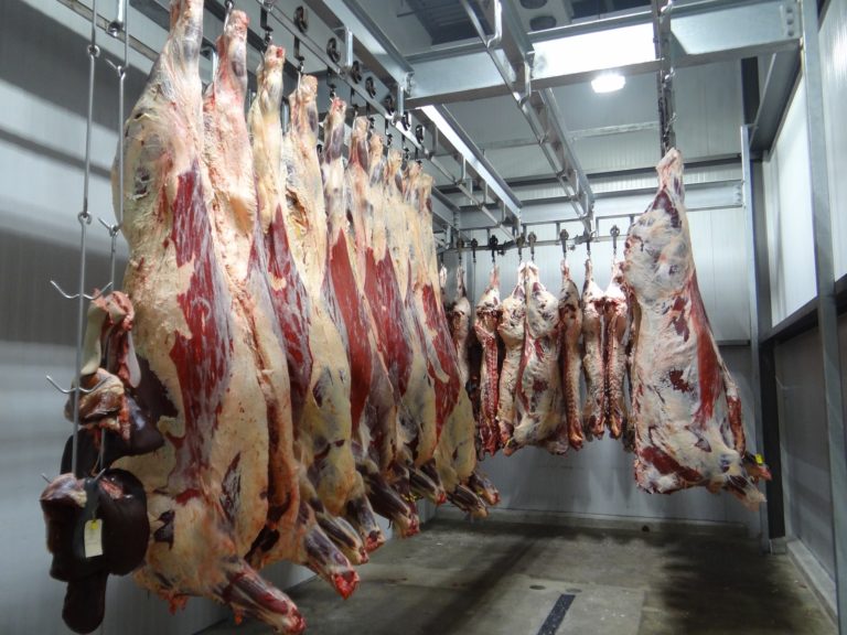 Beef 1884301_1920.jpg