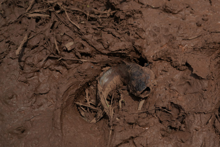 pretrhnutá priehrada, Minas Gerais, Brazília