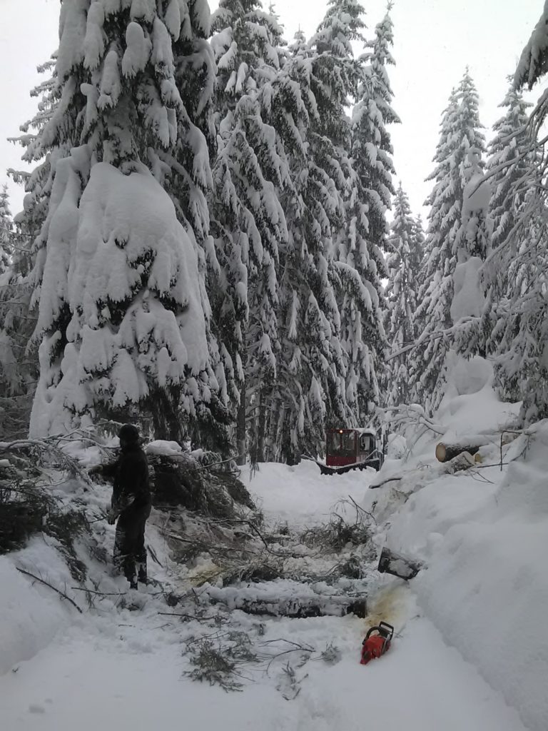 ORAVA: Snehová kalamita ohrozuje aj pamiatky