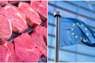 hovädzie mäso, európska únia