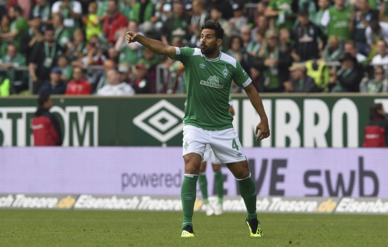 Claudio Pizarro, Werder Brémy, I. bundesliga