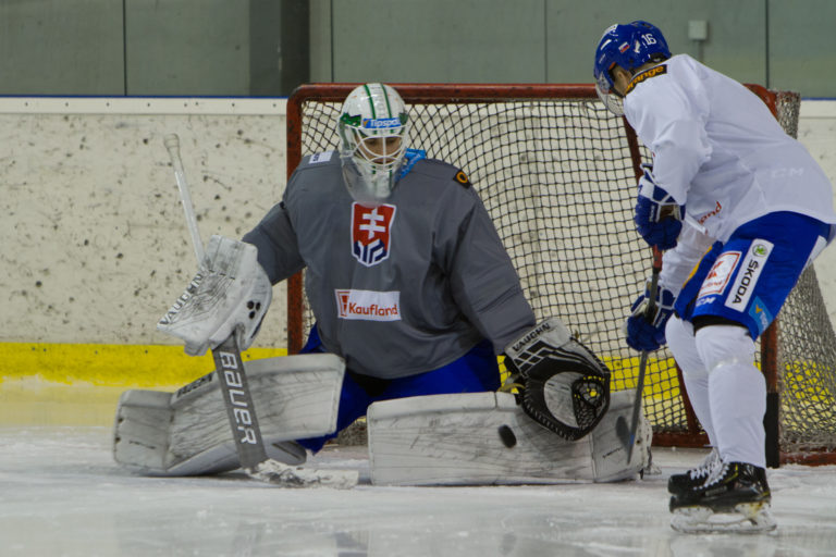 Kaufland Cup, tréning slovenskej reprezentácie