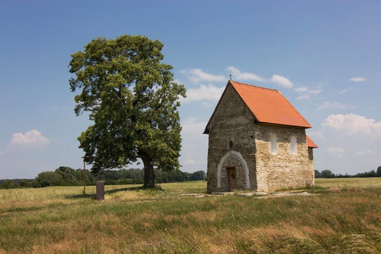 Lipa veľkolistá , Kopčany