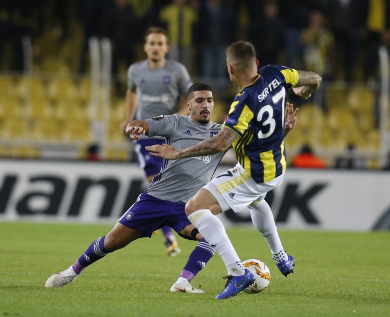 Martin Škrtel, Fenerbahce Istanbul