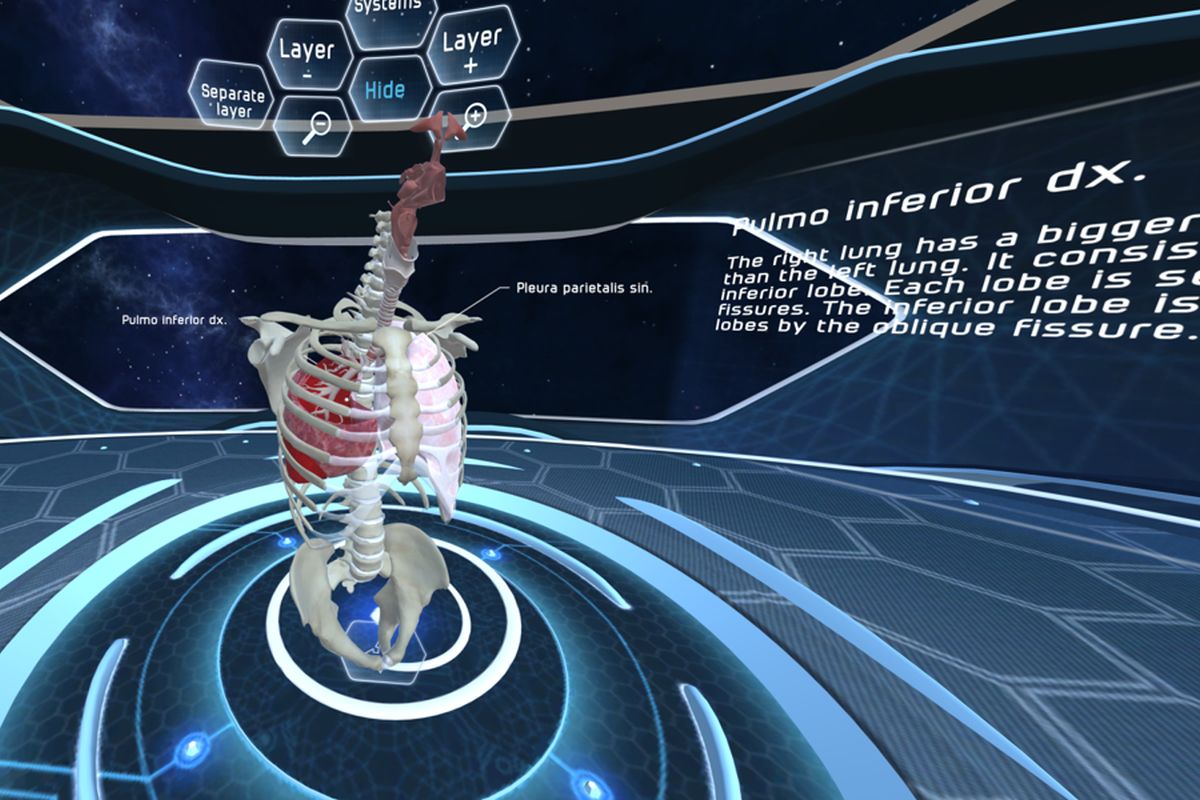 Vr_anatomia.jpg