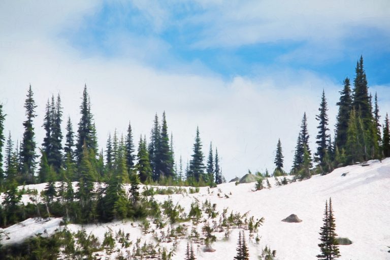 Winter 1029889_1920.jpg