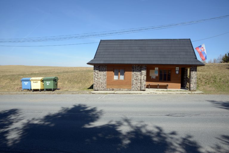 Prezidentské voľby 2019 na Slovensku, Detvianska Huta