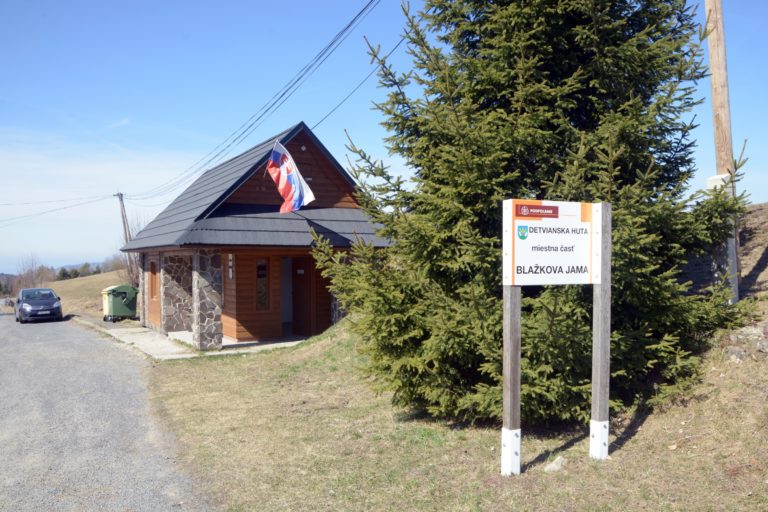 Prezidentské voľby 2019 na Slovensku, Detvianska Huta