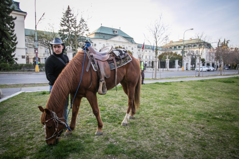 Zhromaždenie: Dosť bolo Matečnej