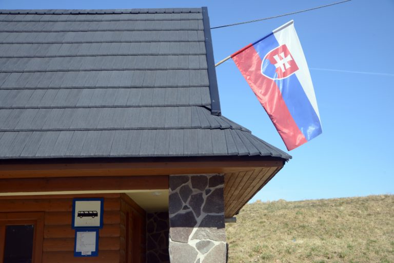 Prezidentské voľby 2019 na Slovensku, Detvianska Huta