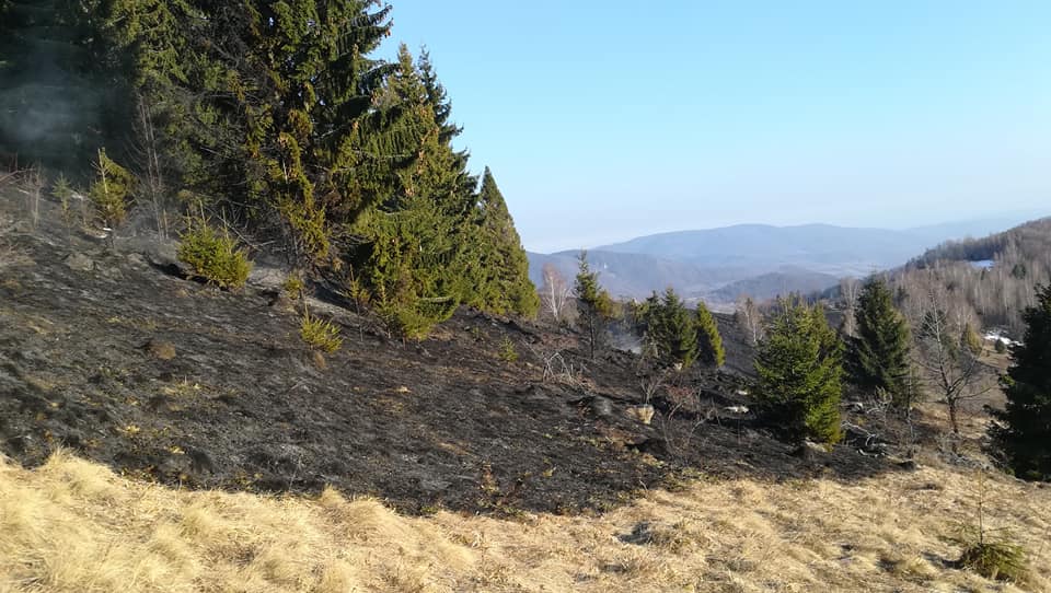 požiar, trávnatý porast