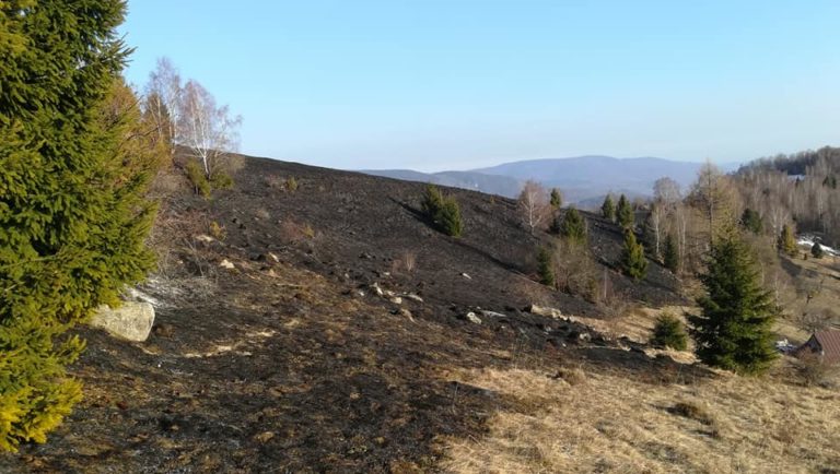 požiar, trávnatý porast