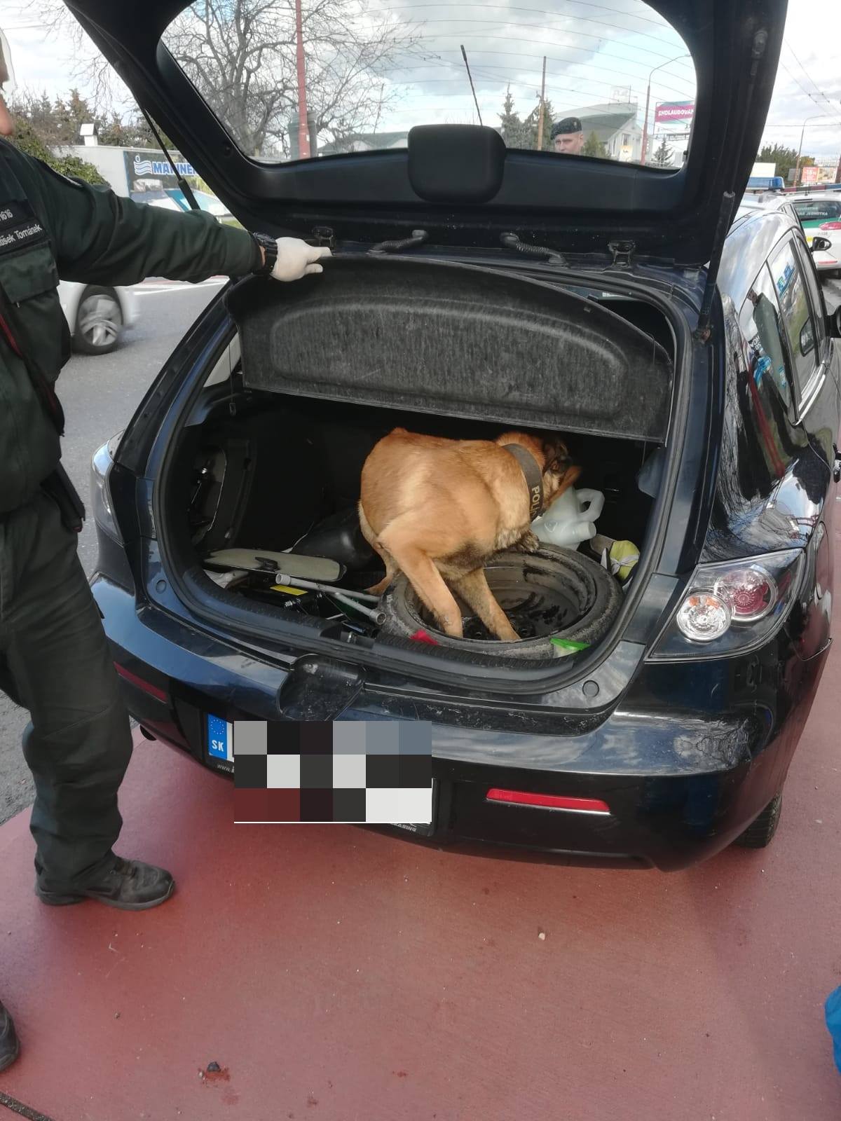 Drogy, polícia
