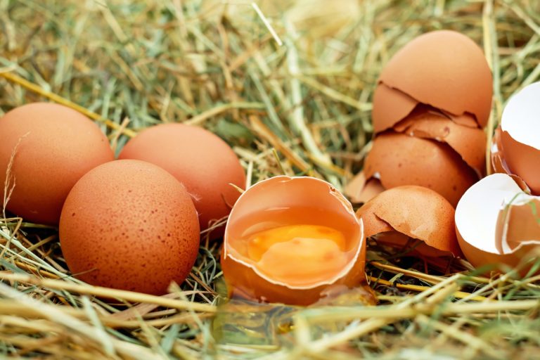 Egg 1510449_1920.jpg