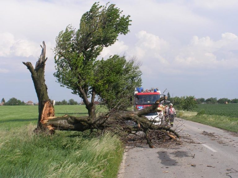 Hasiči