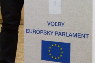 voľby, Európsky parlament