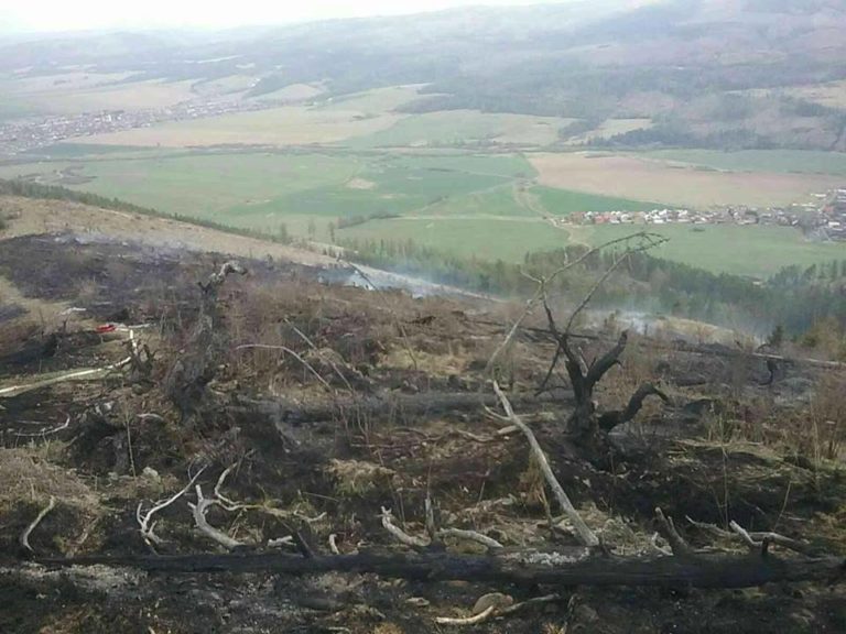 požiar, les, Kravany