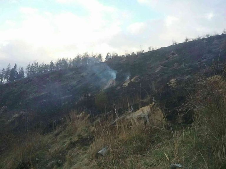 požiar, les, Kravany