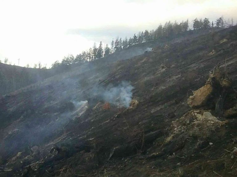 požiar, les, Kravany