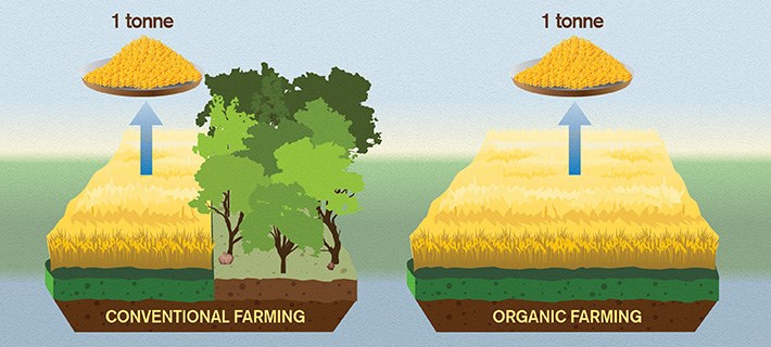 Ekologiskt odlad mat klimatet_eng_ill 710.jpg