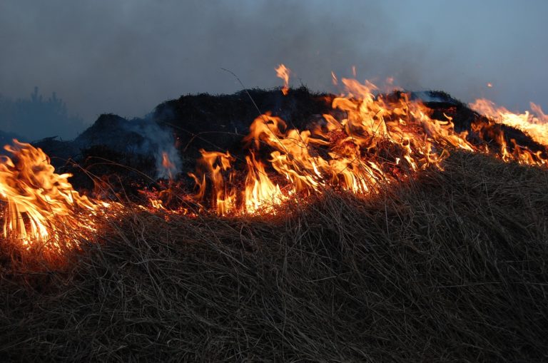 Fire 785654_1920.jpg