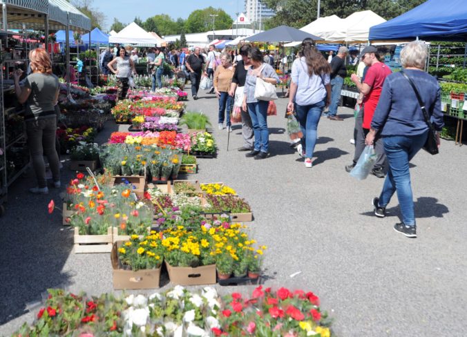 VÝSTAVA: Gardenia 2019