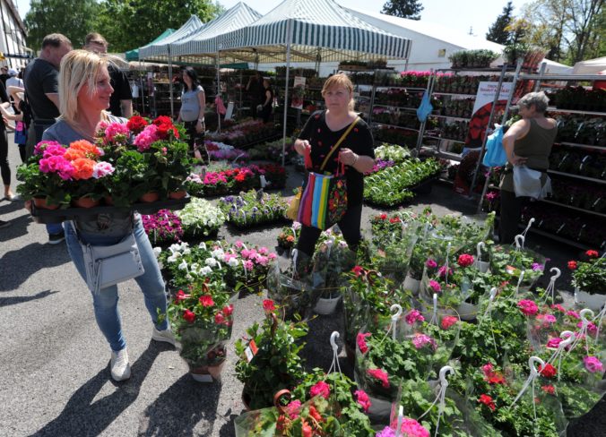 VÝSTAVA: Gardenia 2019