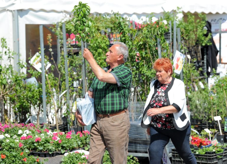 VÝSTAVA: Gardenia 2019