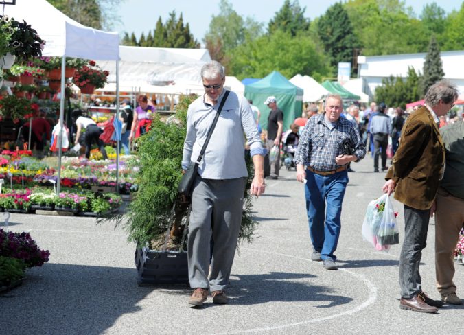 VÝSTAVA: Gardenia 2019