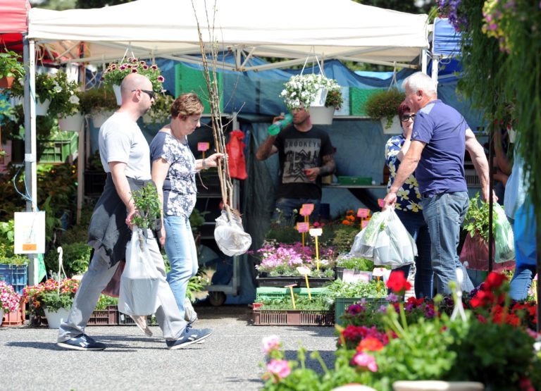 VÝSTAVA: Gardenia 2019