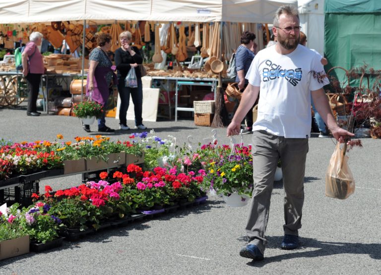 VÝSTAVA: Gardenia 2019