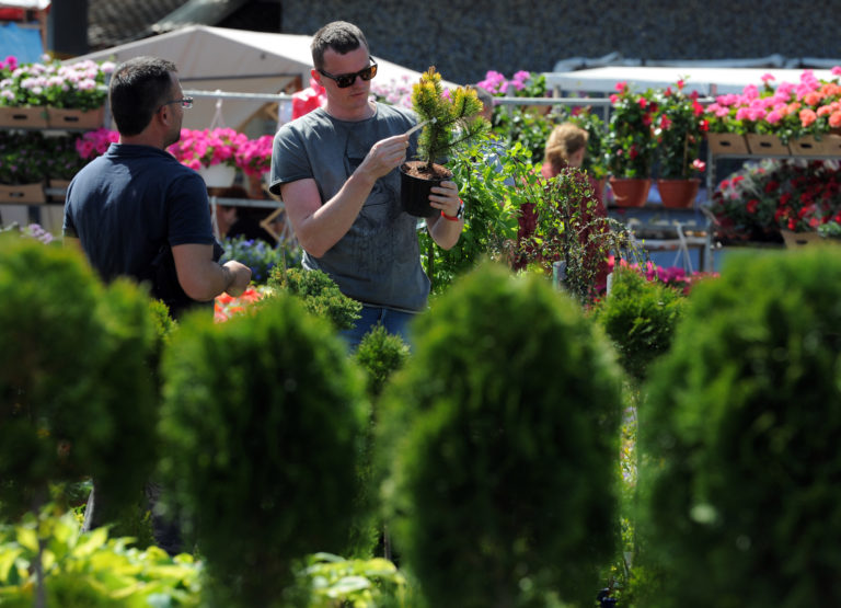 VÝSTAVA: Gardenia 2019