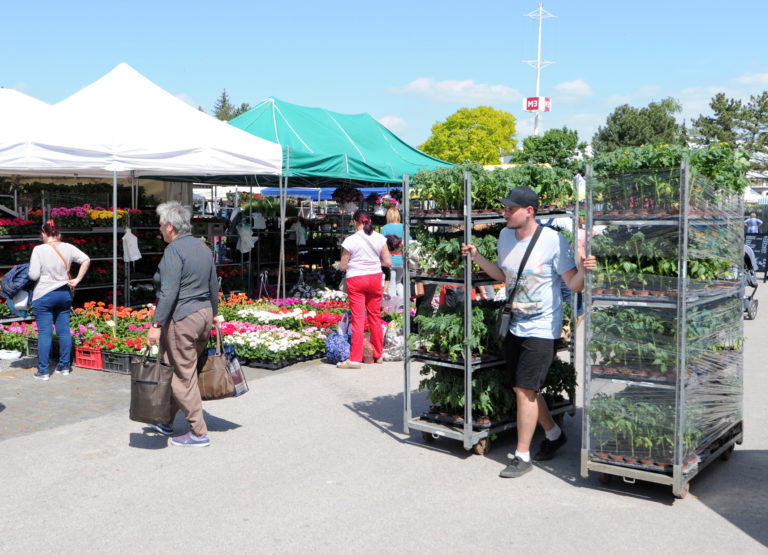 VÝSTAVA: Gardenia 2019