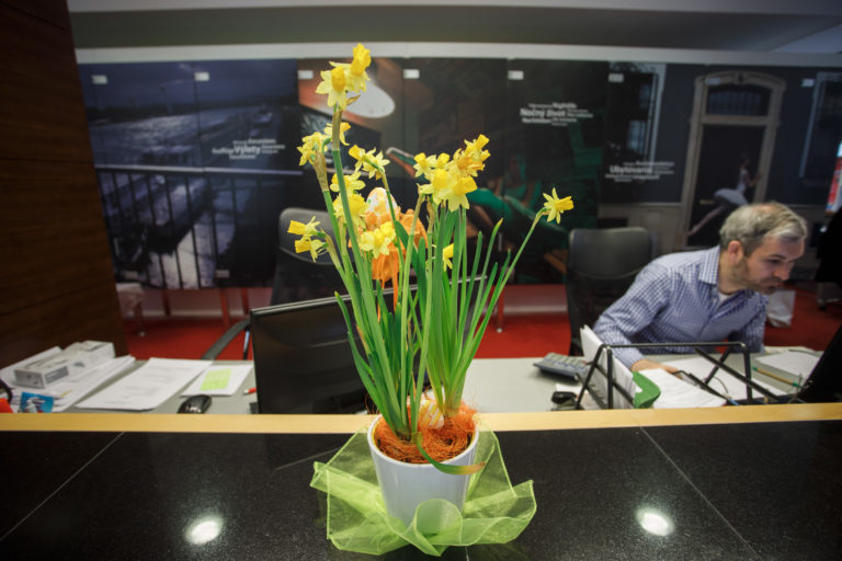 CHARITA: Deň narcisov