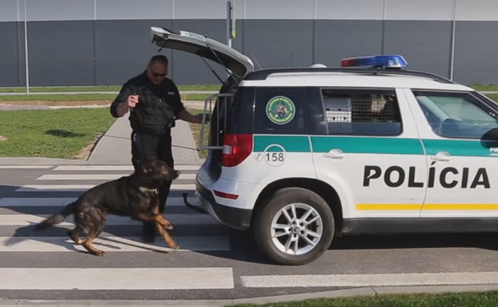 Nitra, polícia