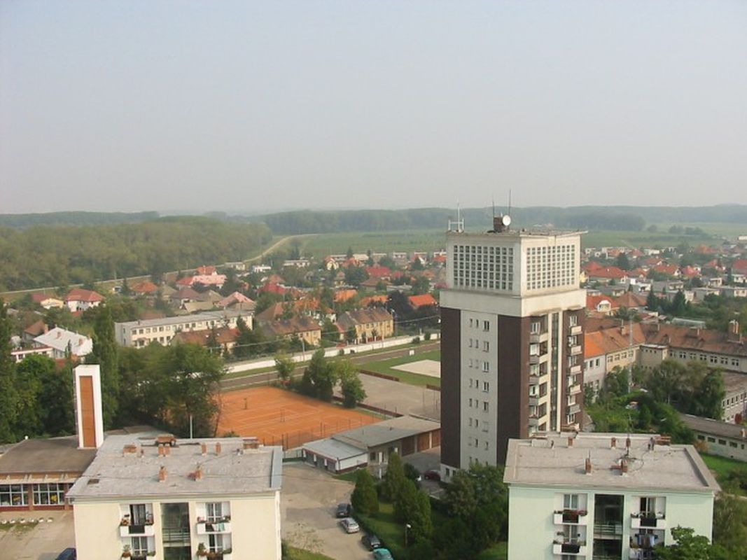Šaľa