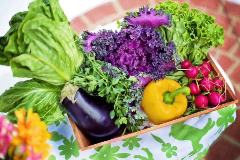 Vegetables 790022_1920.jpg