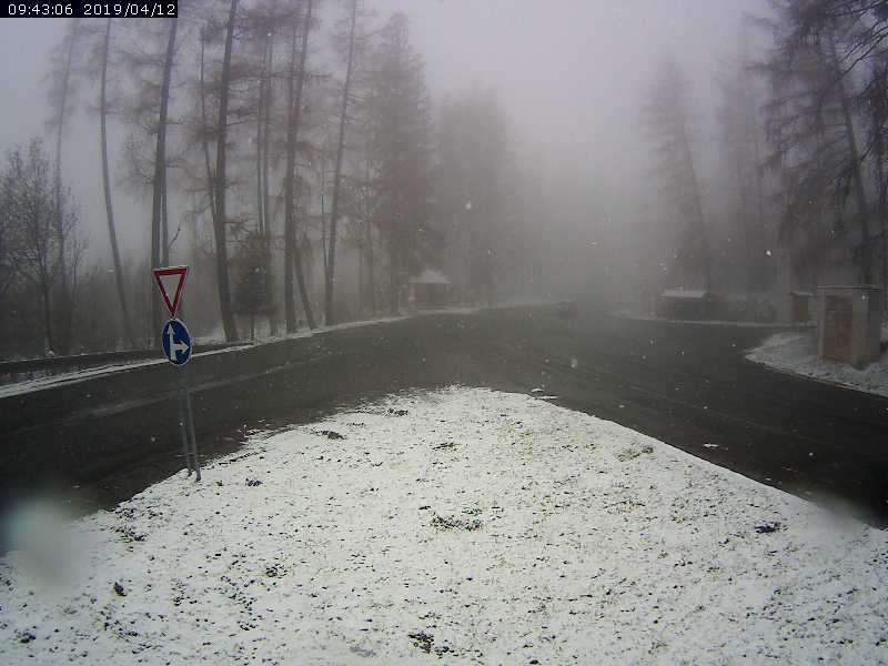 Vysnehagy_20190412.jpg
